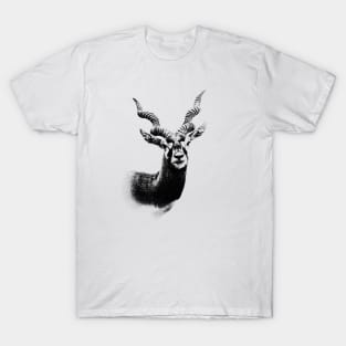 Blackbuck T-Shirt